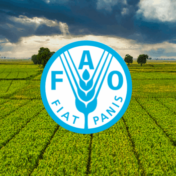 gida-tarim-orgutu-fao