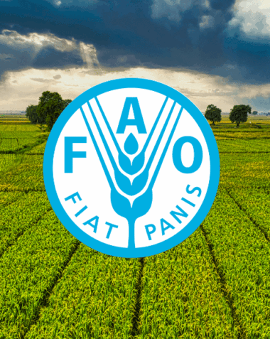 gida-tarim-orgutu-fao